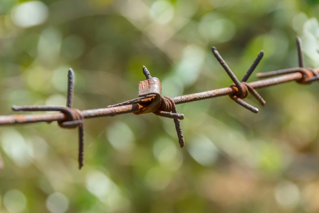 barbed-wire-928874_1280