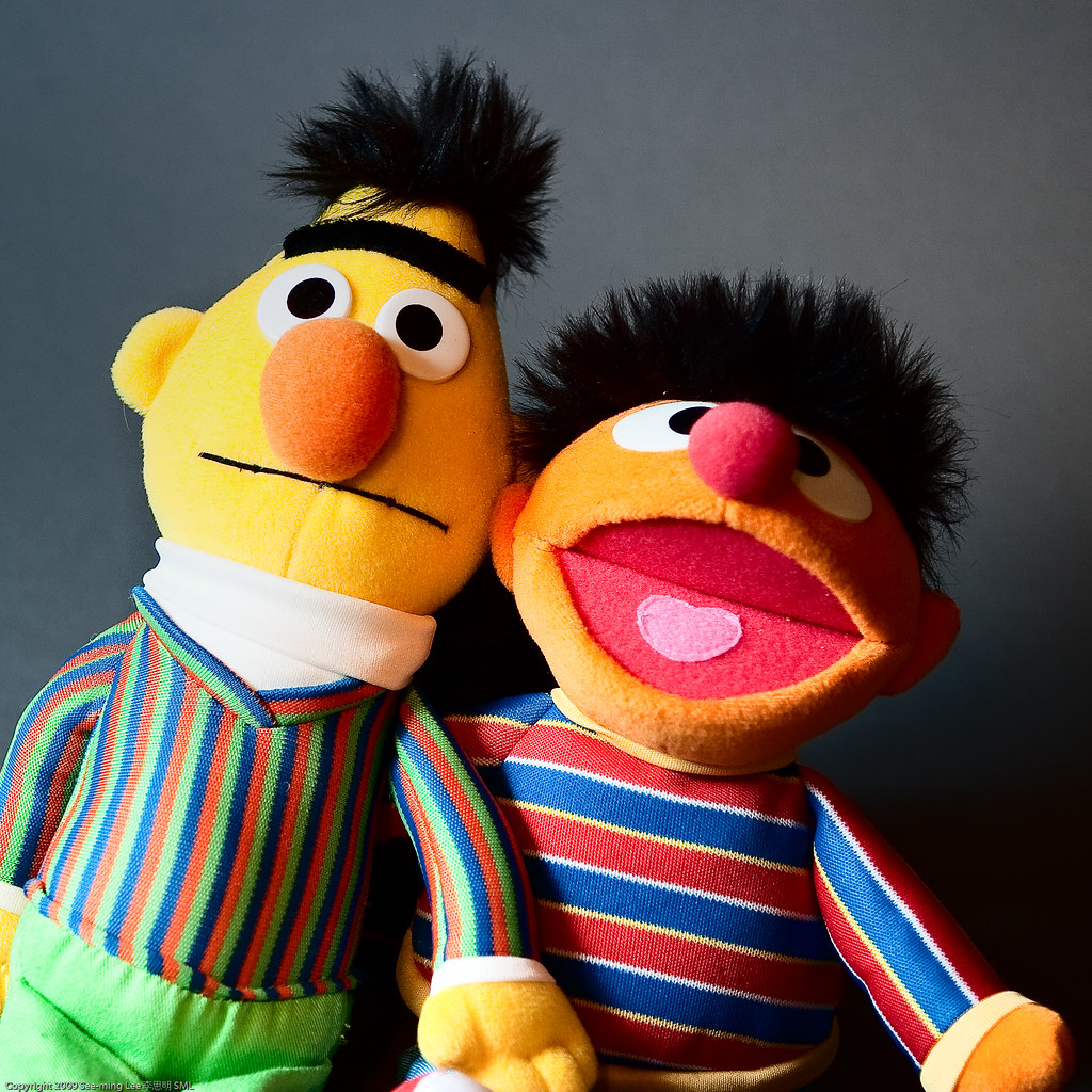 Bert And Ernie 'Gay Cake' Case